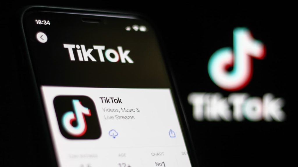 TikTok Video Downloader 