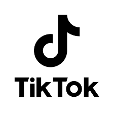 TikTok Video Saver