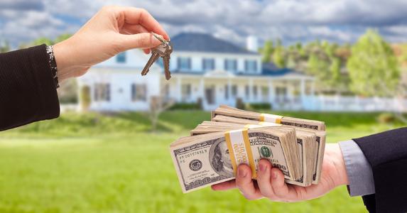 Real Estate Agent